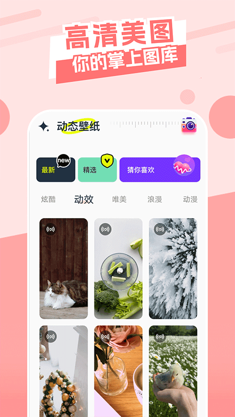 截图4